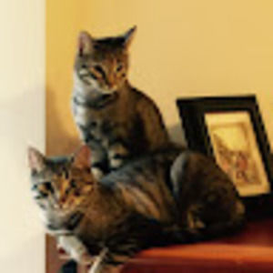 Meet your Posher, Micki